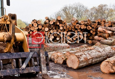 Сертификация в деревообрабатывающей промышленности